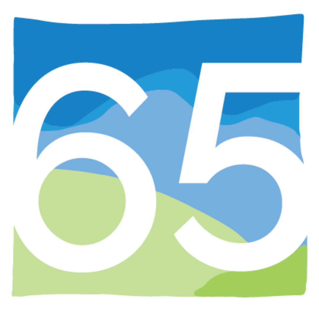 65th favicon woodview mental health and autism services